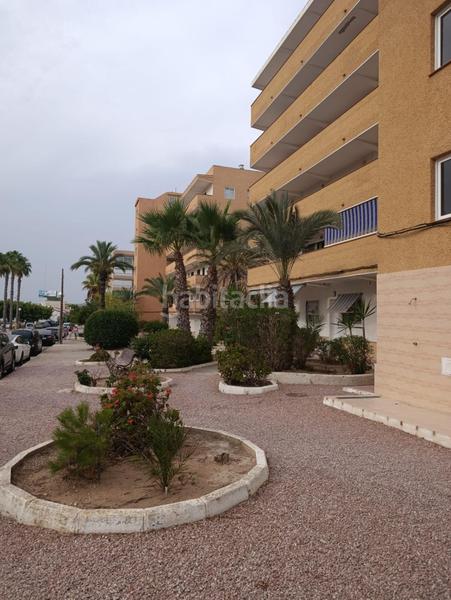 Foto 851d1d44-22a0-4742-95ba-c1c28d16b8a2. Piso amplio piso con terraza grande en pinomar en Guardamar del Segura