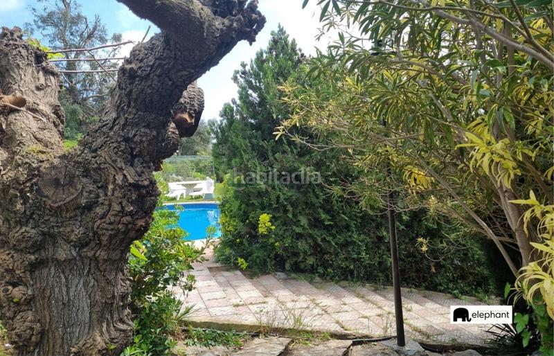 Foto 42b65f09-334b-48cf-88ca-072f77cec6f9. Chalet casa para reformar con licencia turistica activa en el maresme costa brava en Palafolls