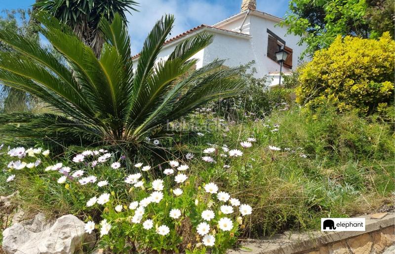 Foto c6f0c993-4c06-4970-bf4b-5b99ca9bed62. Chalet casa para reformar con licencia turistica activa en el maresme costa brava en Palafolls