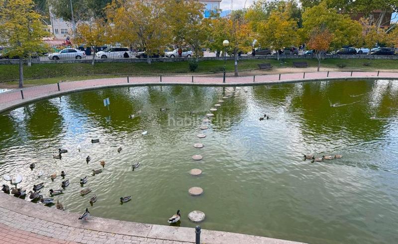 Foto faaa0a3c-38e1-4e39-82a9-a164555cb3b8. Appartamento con riscaldamento piscina in Parque de la Coruña-Las Suertes Collado Villalba