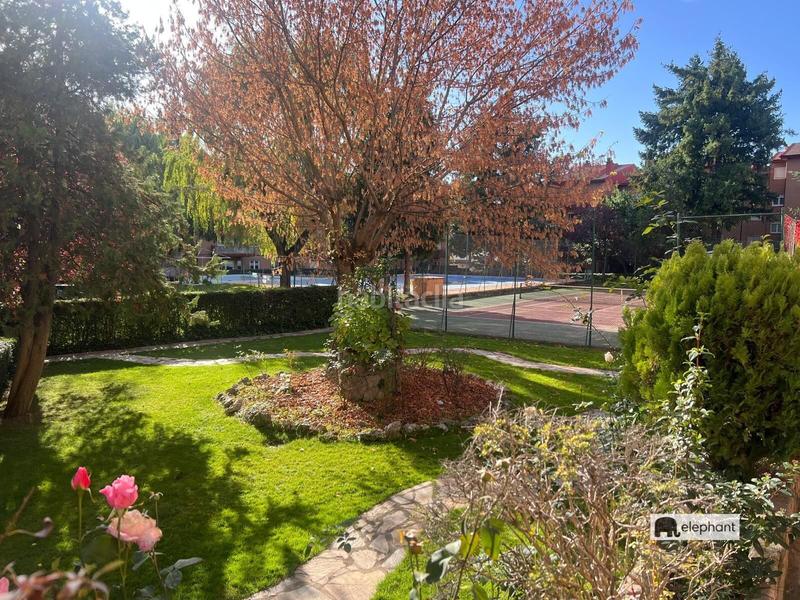 Foto 264e7c4b-dade-46a9-b278-09adff50b65b. Affitto piano terra con parcheggio in Alpedrete