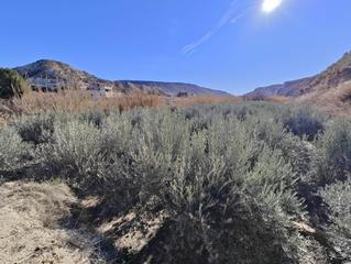 Residential Plot in Mula