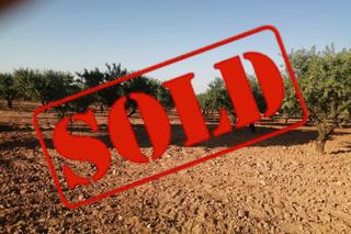 Wohngrundstück in Mula