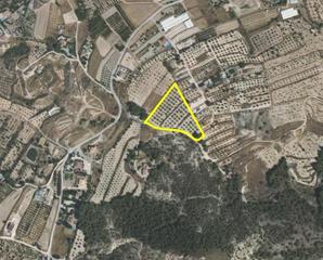 Terreny residencial a Pliego