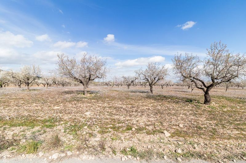 Foto f9202f4d-9a2b-41ae-9456-359ea772d38b. Maison dans Mula