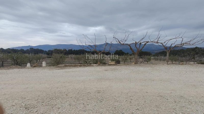 Foto ff2e59b3-bb62-4743-9b27-865cd5edcf5a. Haus in Mula