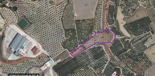 Terreny residencial a Pliego