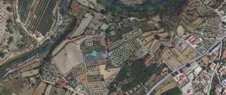 Terreny residencial a Pliego