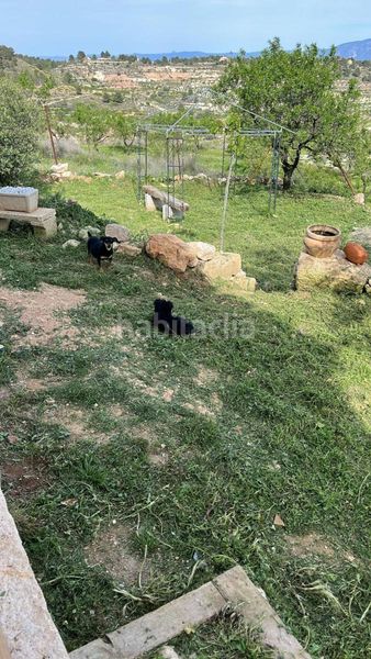 Foto b74f64af-78f8-4154-8015-73eb0f57c597. Haus in Mula