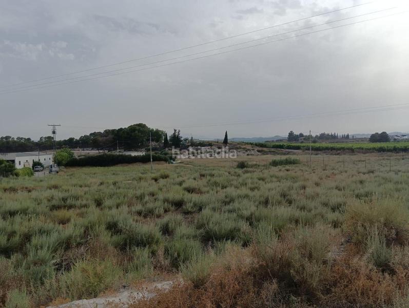 Foto 812e7171-b769-4e83-a06d-623e7d510a71. Terreny residencial a Torres de Cotillas (Las)