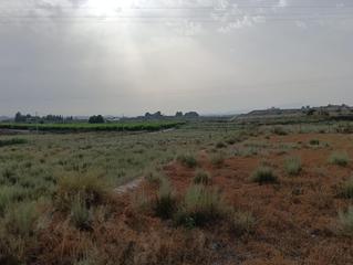 Wohngrundstück in Torres de Cotillas (Las)