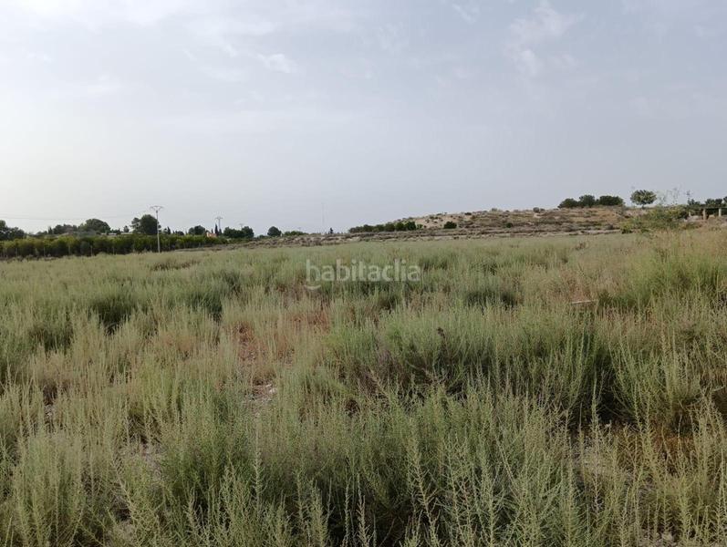 Foto 8e8f3fd7-65af-43f7-8c25-cccd3b1ac21f. Terrain résidentiel dans Torres de Cotillas (Las)