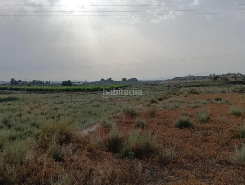 Foto e39f90e6-6686-49f3-8a04-125bc89be00a. Terrain résidentiel dans Torres de Cotillas (Las)