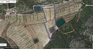 Terreny residencial a Pliego