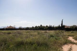 Terreny residencial a Pliego