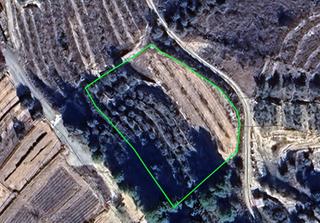 Terreno residenziale in Pliego