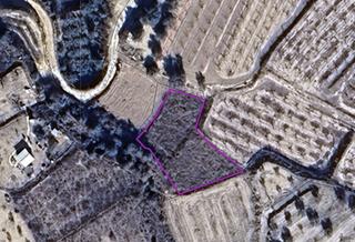 Terreno residenziale in Pliego