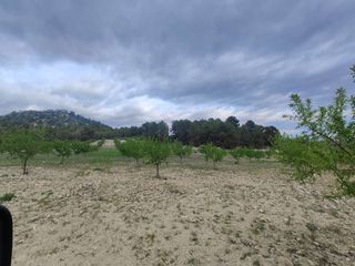 Residential Plot in Mula