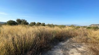 Wohngrundstück in Pliego