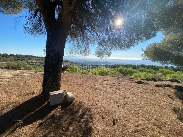 Foto 898f7939-01a7-48c4-b90f-f71386a5d7a9. Terreny residencial a Mula
