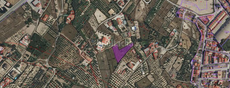 Foto a7cadd4e-a89f-4d4c-822a-3a11a4f32c9b. Terreny residencial a Pliego