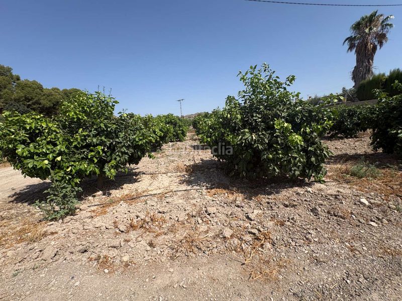 Foto aae0af2b-be65-418f-88f7-d7dd38aa7b25. Terreno residencial en Mula