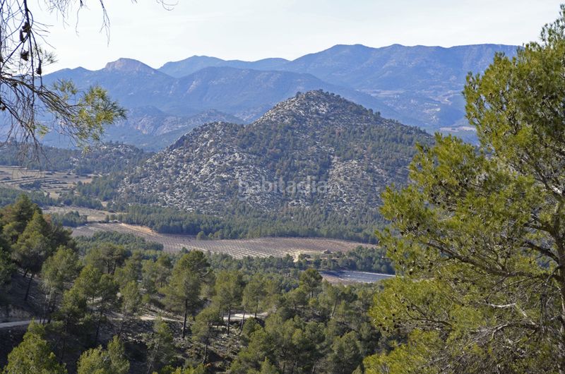 Foto 999b78b2-e5a4-4fd9-96a5-440e9c7bda27. Casale in Mula