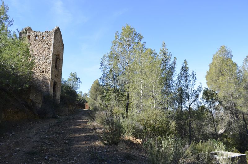 Foto 31436f6f-d536-4c1e-94e3-dbed50518285. Masia a Mula
