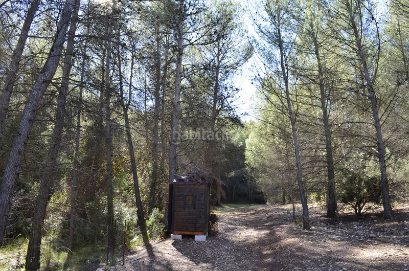 Foto 8d76a1f8-3455-40b8-934f-37f3f252d0cb. Masia a Mula
