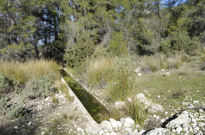 Foto 93d8f989-07a0-4a17-824a-1378d50fc202. Masia a Mula