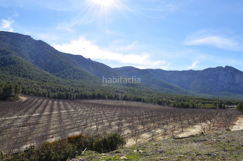 Foto 98eea13d-6642-4e08-b34b-0b6259729b7e. Masia a Mula
