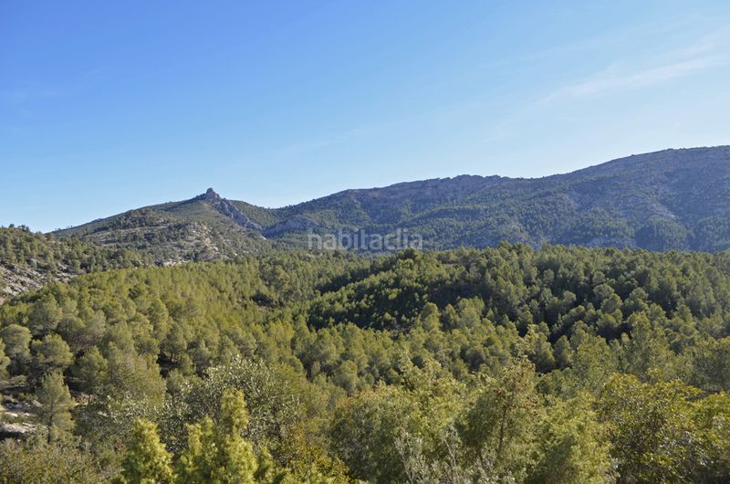 Foto df90270b-429c-4f43-9d4a-8116c3bf8e4f. Masia a Mula