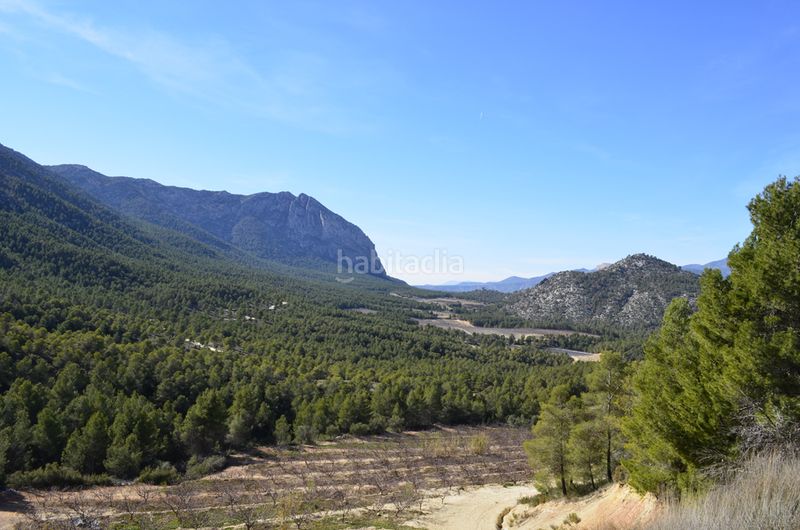 Foto 0af3b014-84d6-42d7-9c93-f000676a3521. Terreny residencial a Mula