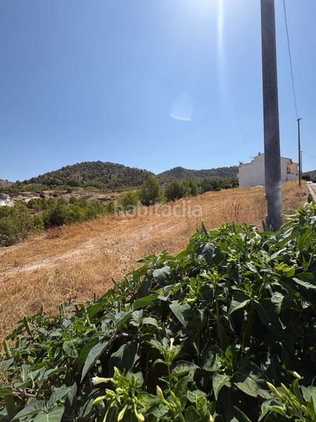 Foto 4af224d3-1c12-4fc2-bc8c-54c958eb5bd4. Terreny residencial a Pliego
