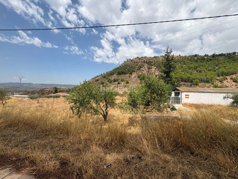 Foto 4aa31072-ba66-4c30-a3d7-6c81f812c2a1. Terreny residencial a Pliego
