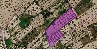 Terreny residencial a Bullas