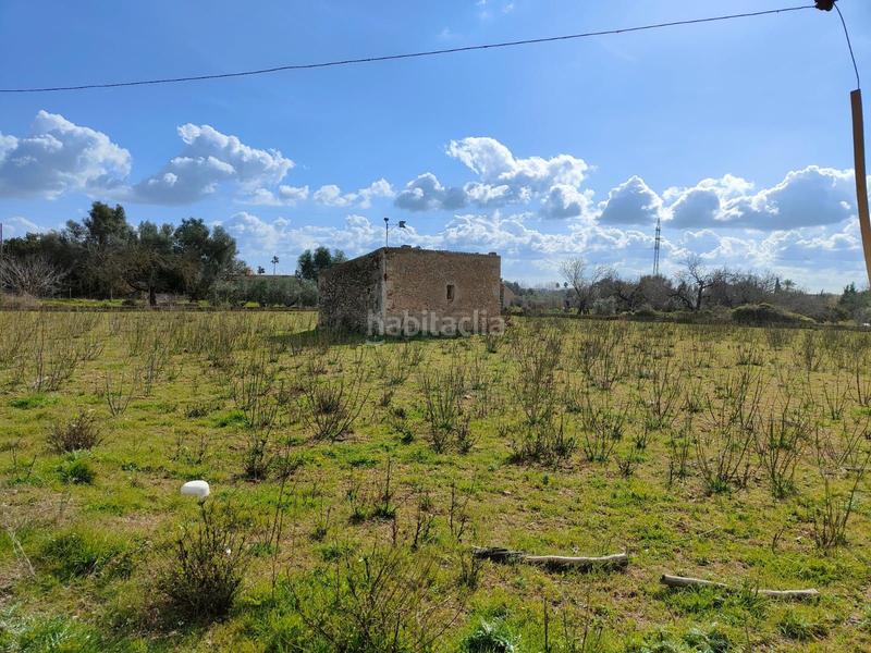 Foto 16802c1b-68f2-4a42-a669-ee842238d755. Casale in Búger