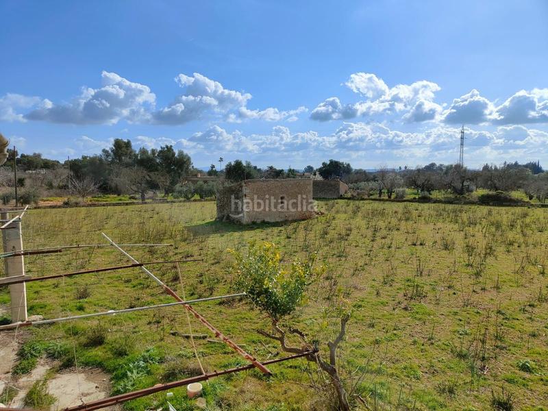 Foto 3ccb060b-aac1-4de9-86d6-0dc2ff102694. Casale in Búger