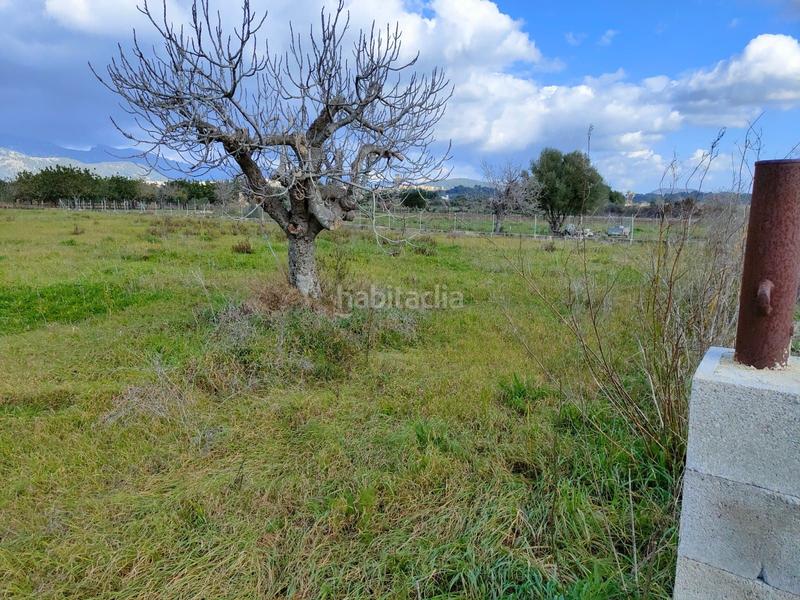 Foto 638605c4-f9c1-4e93-90ea-5f0d19f9f235. Casale in Búger