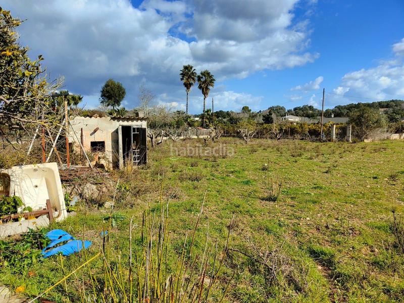 Foto 9df670d9-f4ed-4aee-b5f7-5bef3d5c2abf. Casale in Búger