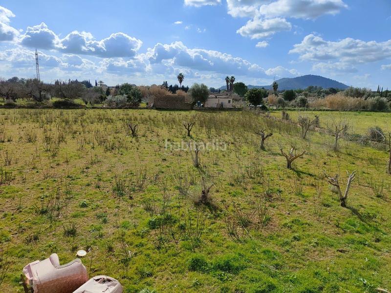 Foto b1aad80b-c910-41ef-a8f0-ada215835a1a. Casale in Búger