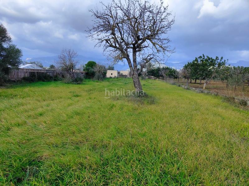 Foto c3efc6aa-0257-4711-8ab9-b0e6caec95f0. Casale in Búger