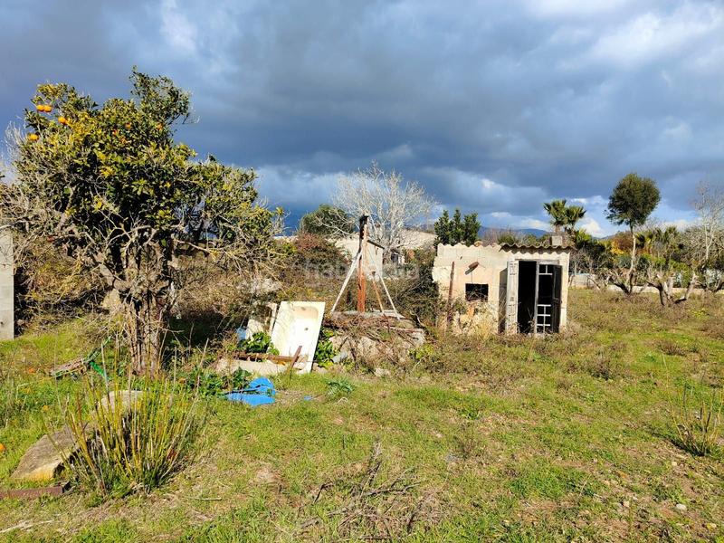 Foto e8027683-6e1a-40ed-98d2-743afd36996f. Casale in Búger