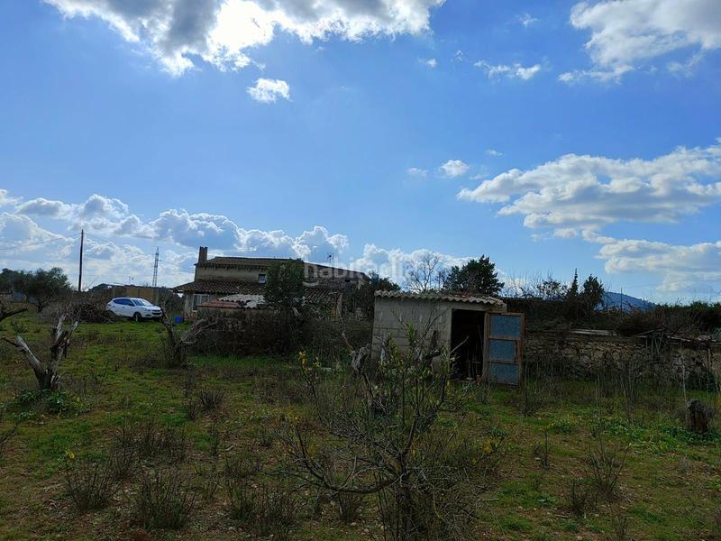 Foto ee43b55d-5c52-4d59-ba47-9f27a7499cf9. Casale in Búger