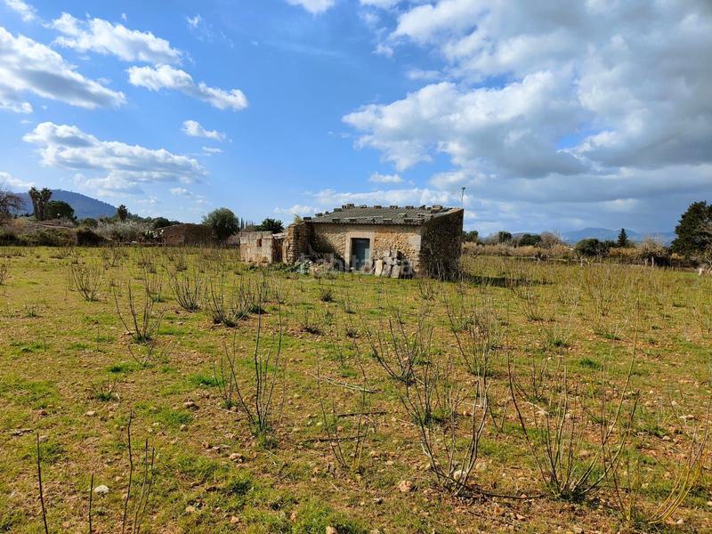 Foto f1a9a511-7663-4865-8903-27eb0e314b63. Casale in Búger