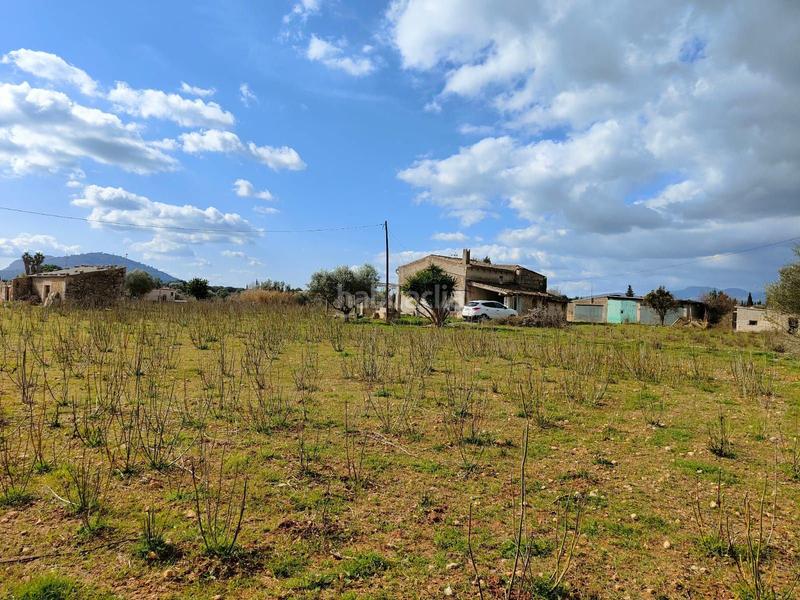 Foto f6e6f201-729c-42ae-843b-6993329c9476. Casale in Búger