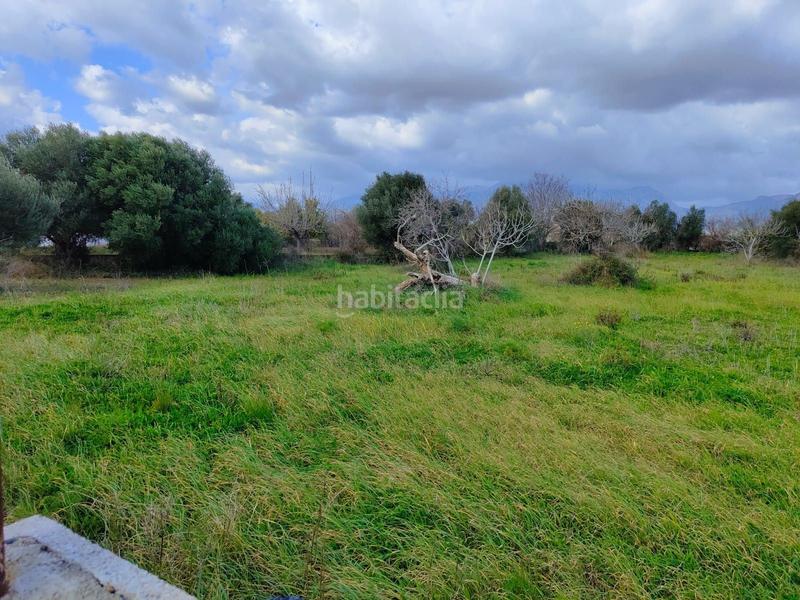 Foto f7176bf4-98ed-48cc-ae3d-4f65114590b2. Casale in Búger