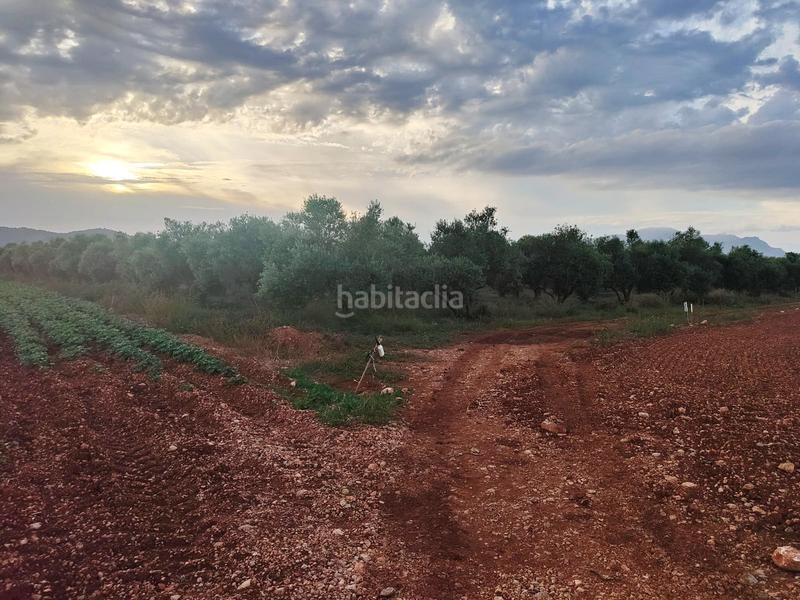 Foto 1ca96863-85c6-40ea-be8c-bfa7b16dbd2b. Fondo rustico in carrer major 18 in Búger