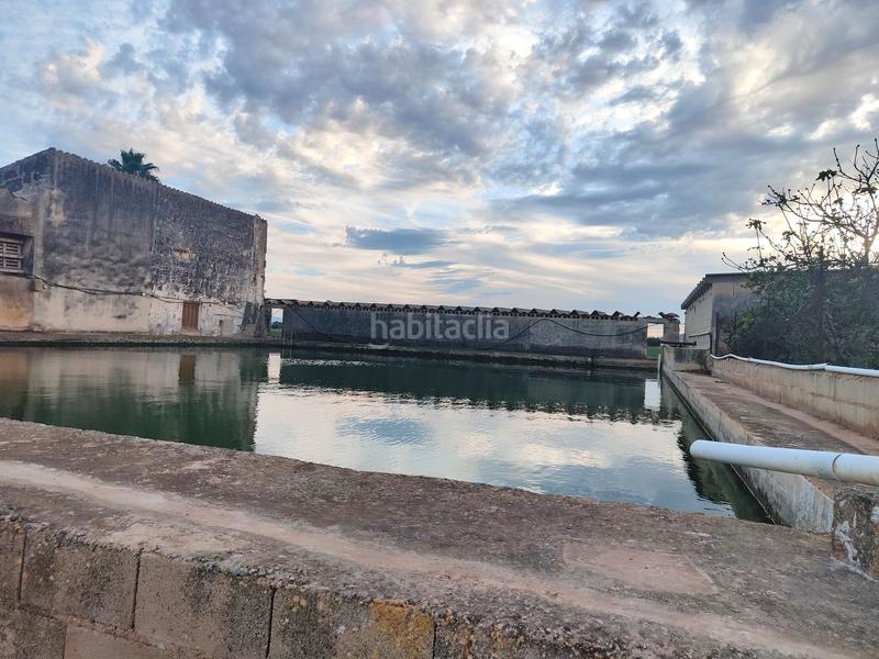 Foto 371f8410-dc00-45d9-a52a-5de6ded18744. Fondo rustico in carrer major 18 in Búger