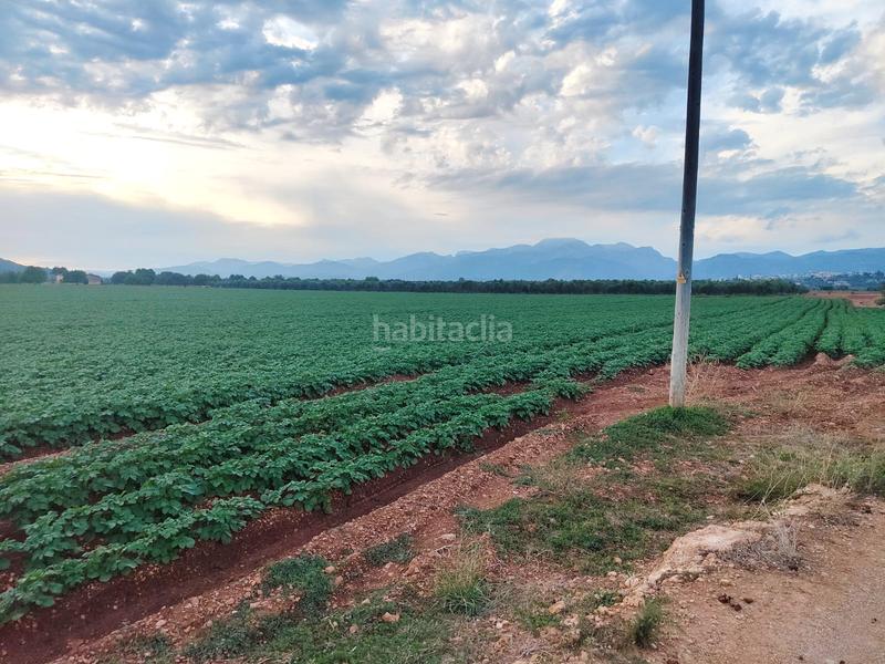 Foto 391beb37-7cf5-4db9-961b-ddf697901576. Fondo rustico in carrer major 18 in Búger